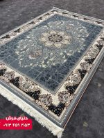 1114دلفینی (3)