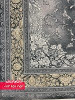 1133 دلفینی (1)