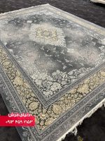 1133 دلفینی (2)