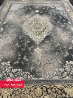 1133 دلفینی (3)