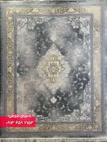 1133 دلفینی (4)