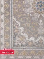 12426 صدفی