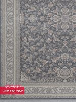 12810 دلفینی e2 - 1
