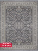 12810 دلفینی e2