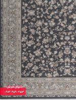 12815-300400-دلفینی (2) - 1