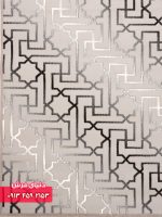 35397 نقره ای 1
