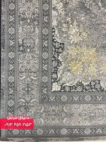 دلفینی 1129 (1)