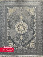 دلفینی 1129 (2)