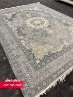 دلفینی 1129 (3)