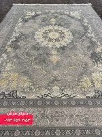 دلفینی 1129 (4)