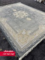 دلفینی 1130 (2)