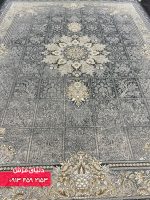 دلفینی 1130 (3)