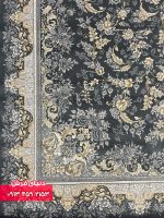 دلفینی 1134 (5)