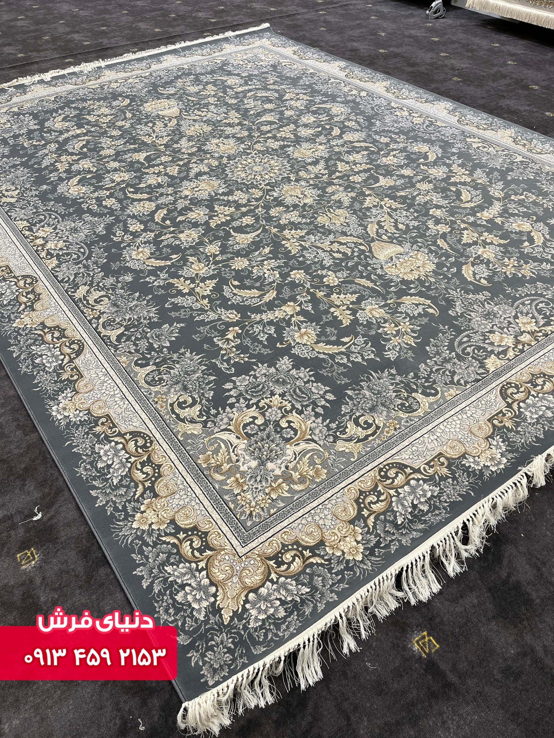 دلفینی 1134 (6)