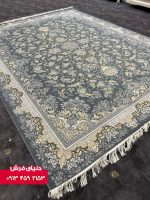 دلفینی 1134 (6)