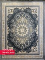 دلفینی 1135 (10)