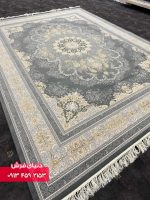 دلفینی 1135 (7)