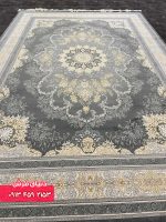 دلفینی 1135 (8)