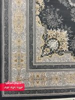 دلفینی 1135 (9)
