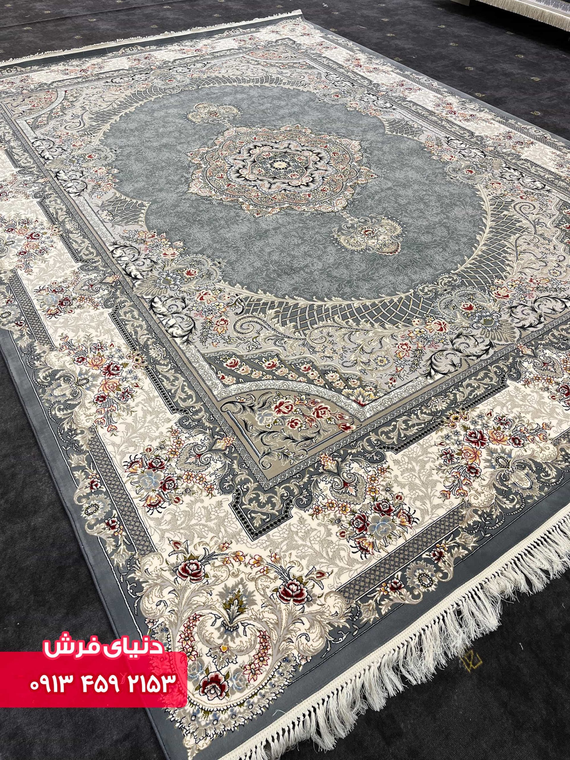 دلفینی 1138 (5)