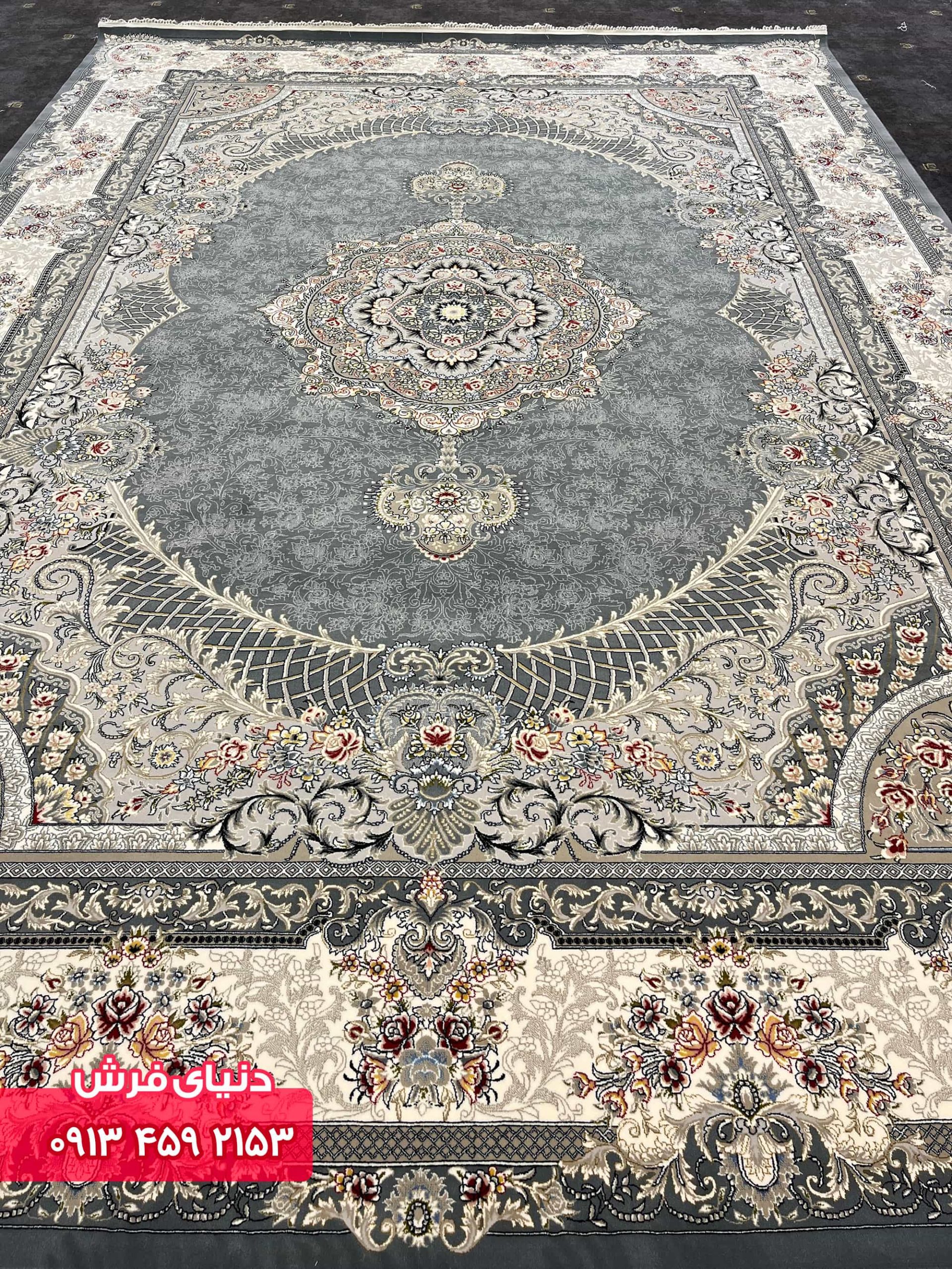 دلفینی 1138 (6)