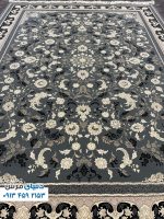 دلفینی (3)