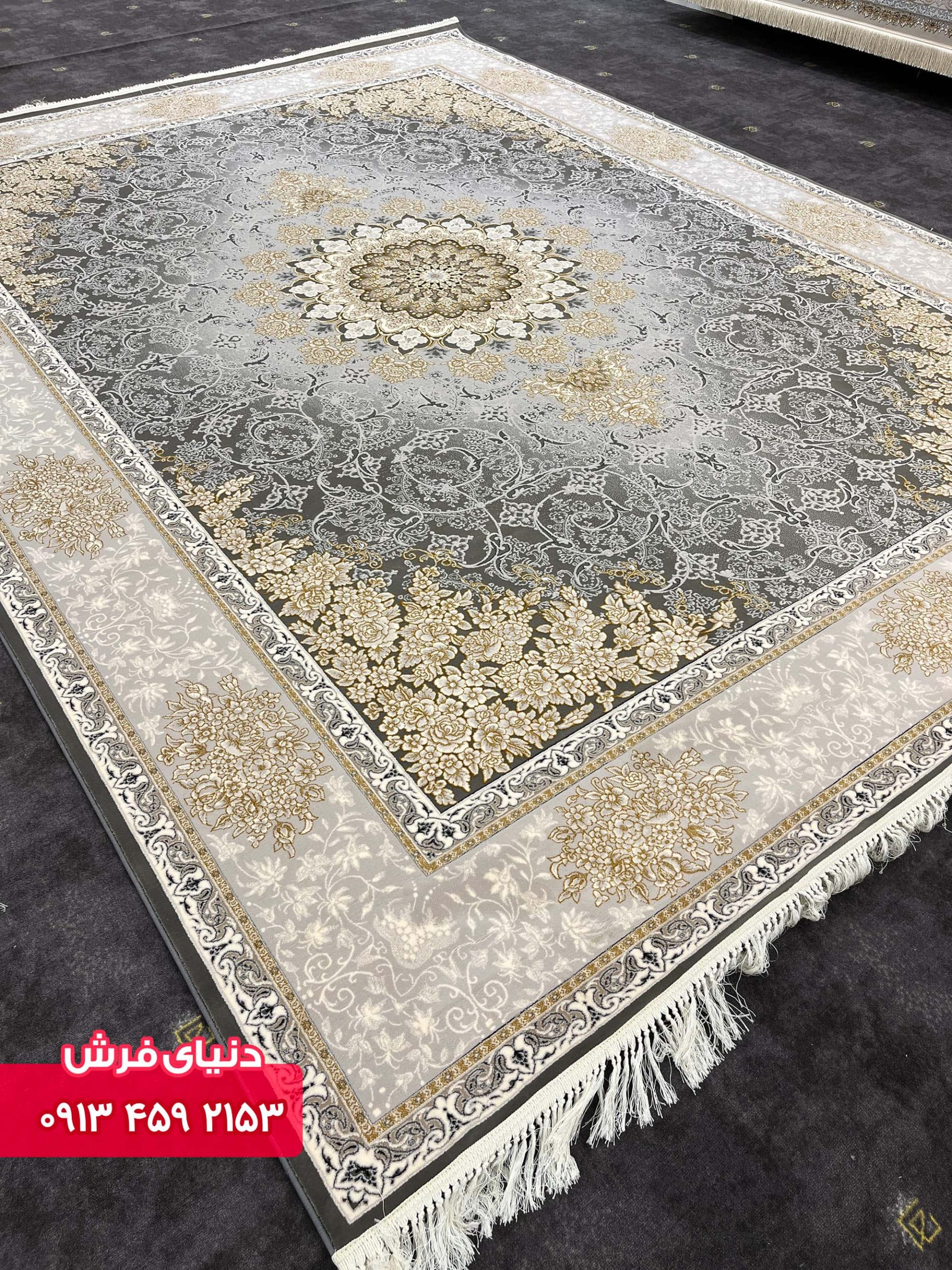 دلفینی 9004 (8)