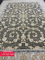 دلفینی 9005 (4)
