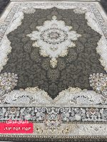 دلفینی 9016 2