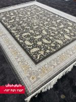 دلفینی 9024 (2)