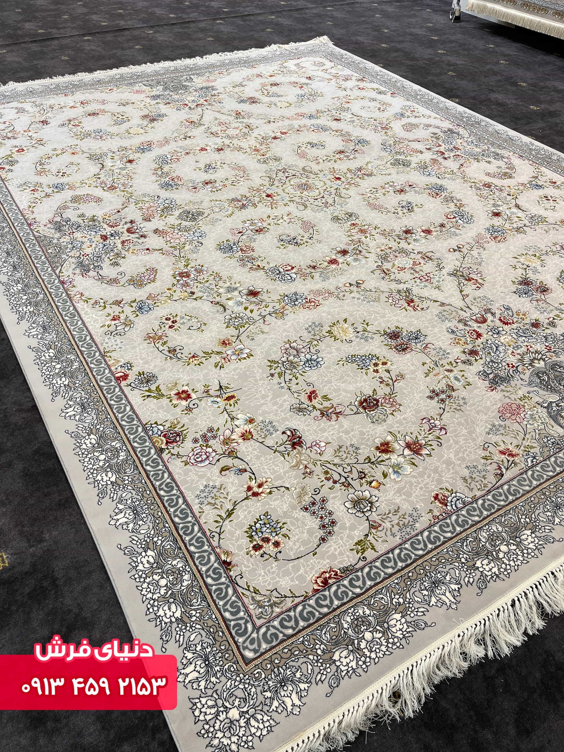 نقره ای 1120 (6