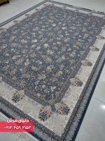 1104 دلفینی1