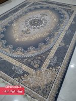 1141 دلفینی2