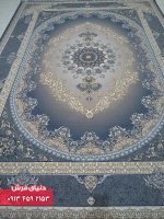 1141 دلفینی3