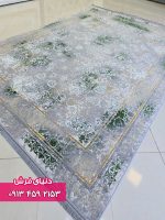 افشان صدفی