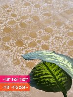 فرش کد 71053NT نسکافه ای طلایی 2