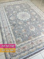 تینا فیلی