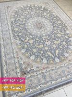 مهدیس فیلی